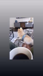 Leah Van Dale feet photo thumbnail