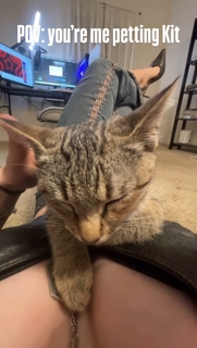 Lean Beef Patty feet photo thumbnail