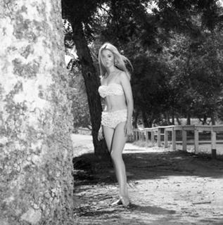 Lee Purcell feet photo 14