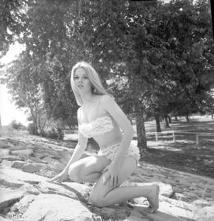 Lee Purcell feet photo 3