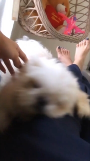 Leena Jumani feet photo 12