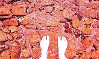Leigh Nash feet photo 3