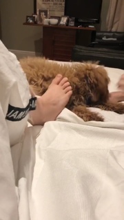 Lele Pons feet photo thumbnail