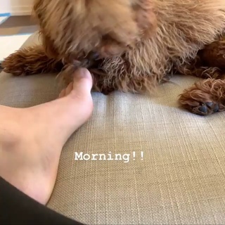 Lele Pons feet photo thumbnail
