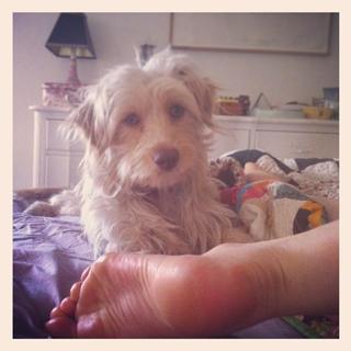 Lena Dunham feet photo thumbnail