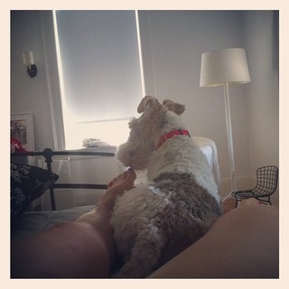 Lena Dunham feet photo thumbnail