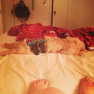 Lena Dunham feet photo thumbnail