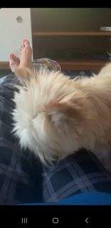 Lene Nystrøm feet photo thumbnail