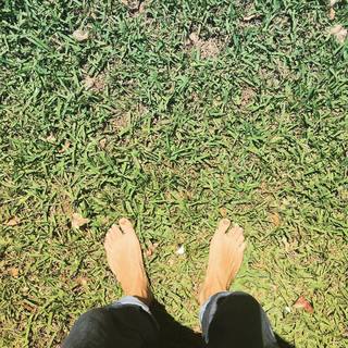 Lenka Kripac feet photo 18