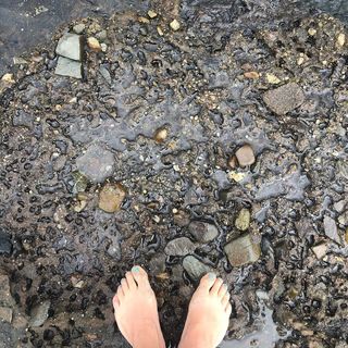Lenka Kripac feet photo 1