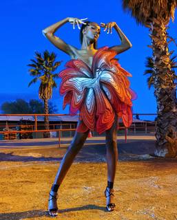 Leomie Anderson feet photo 10