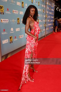Leomie Anderson feet photo 12