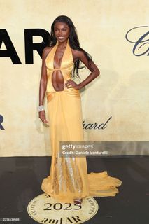 Leomie Anderson feet photo 13