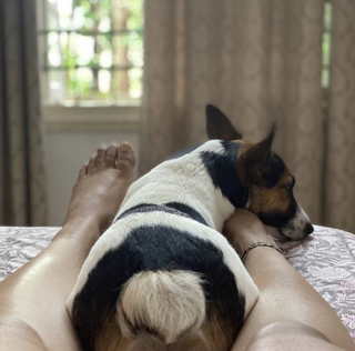 Leona Lishoy feet photo 18