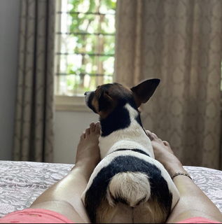 Leona Lishoy feet photo 17