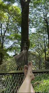 Leona Lishoy feet photo 1
