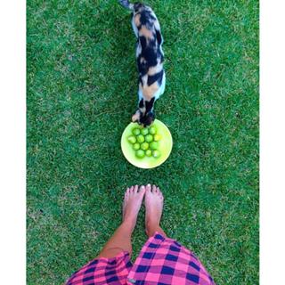 Leonor Poeiras feet photo 4