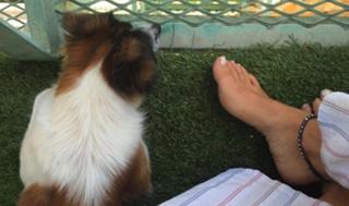 Leonor Poeiras feet photo 8