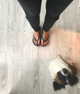 Leonor Poeiras feet photo 7