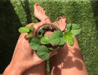 Leonor Poeiras feet photo 20