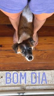 Leonor Poeiras feet photo 8