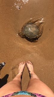 Leonor Poeiras feet photo 7