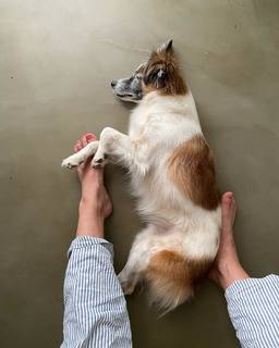 Leonor Poeiras feet photo 16