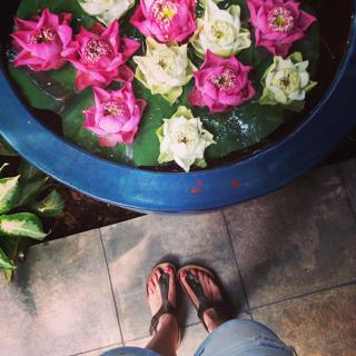 Leonor Poeiras feet photo 7