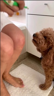 Leonor Varela feet photo thumbnail