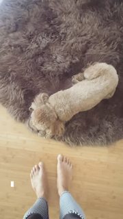 Leonor Varela feet photo thumbnail