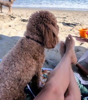 Leonor Varela feet photo thumbnail