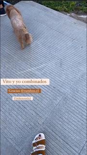 Leonor Varela feet photo thumbnail