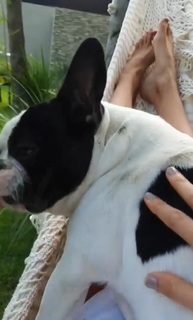 Leryn Franco feet photo 1