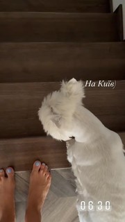 Lesia Nikituk feet photo 14