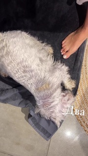 Lesia Nikituk feet photo 18
