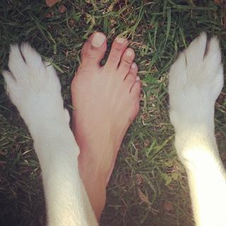 Lesley-Ann Brandt feet photo thumbnail