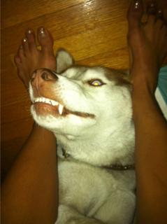 Lesley-Ann Brandt feet photo thumbnail
