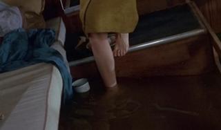 Leslie Caron feet photo 9