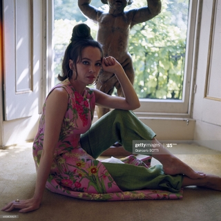 Leslie Caron feet photo 10