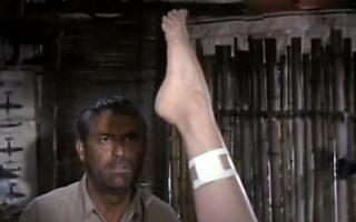 Leslie Caron feet photo 5