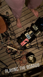 Leslie Feist feet photo 9