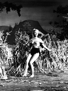 Leslie Parrish feet photo 13