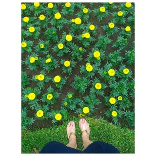 Lesslie Polinesia feet photo 3