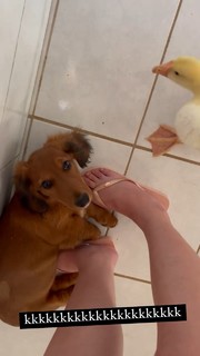 Leticia Shirakiin feet photo 17