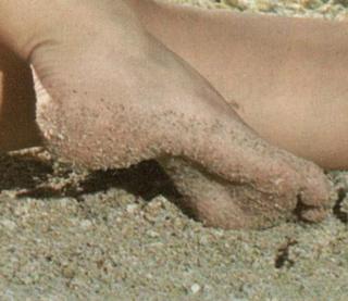 Letícia Birkheuer feet photo 13