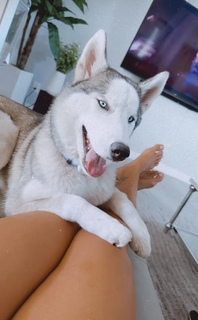 Letícia Bufoni feet photo thumbnail