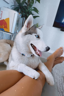 Letícia Bufoni feet photo thumbnail