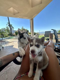 Letícia Bufoni feet photo thumbnail