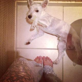 Letícia Colin feet photo thumbnail