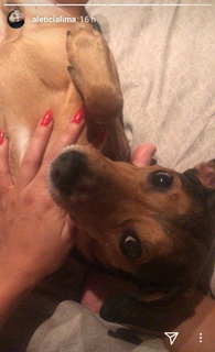 Letícia Lima feet photo 19
